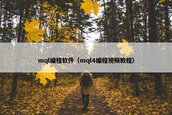 mql编程软件（mql4编程视频教程）