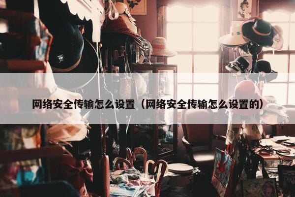 网络安全传输怎么设置（网络安全传输怎么设置的）