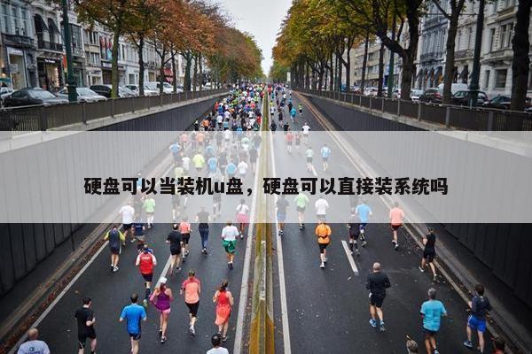 硬盘可以当装机u盘，硬盘可以直接装系统吗