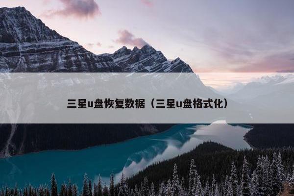 三星u盘恢复数据（三星u盘格式化）