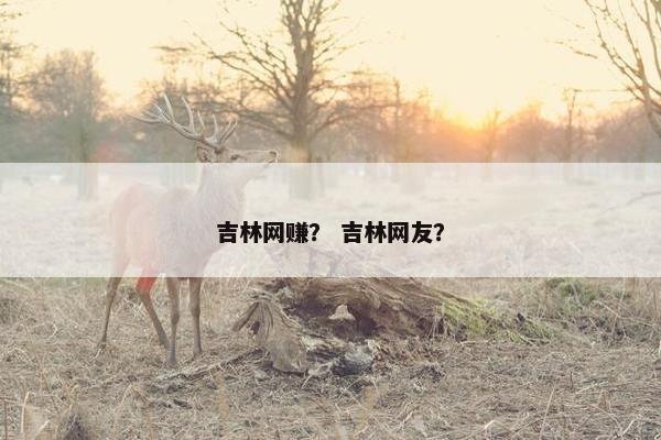 吉林网赚？ 吉林网友？