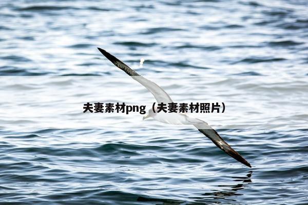 夫妻素材png（夫妻素材照片）