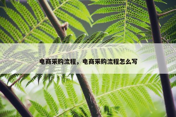 电商采购流程，电商采购流程怎么写
