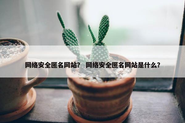 网络安全匿名网站？ 网络安全匿名网站是什么？