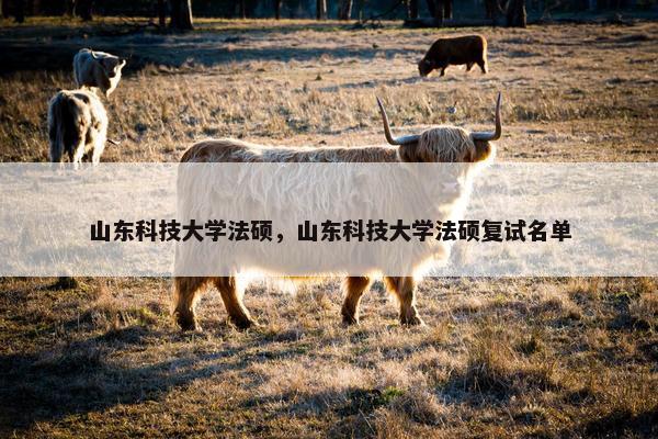 山东科技大学法硕，山东科技大学法硕复试名单