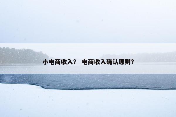 小电商收入？ 电商收入确认原则？