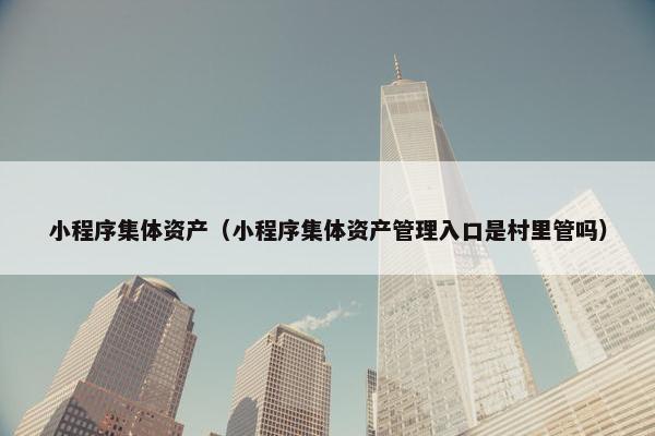 小程序集体资产（小程序集体资产管理入口是村里管吗）