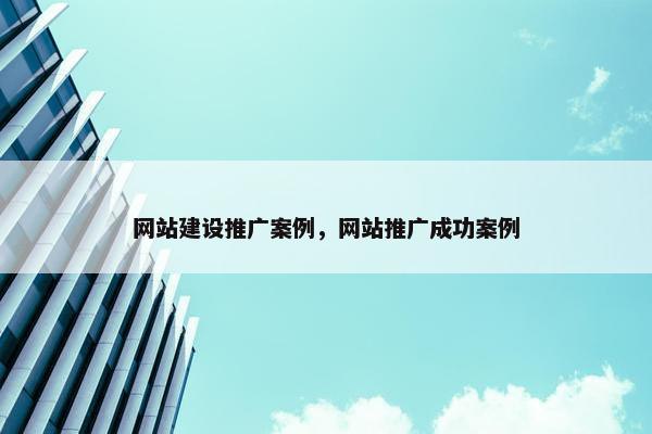 网站建设推广案例，网站推广成功案例
