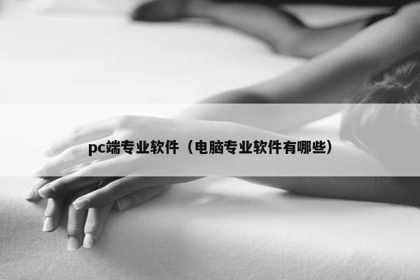 pc端专业软件（电脑专业软件有哪些）