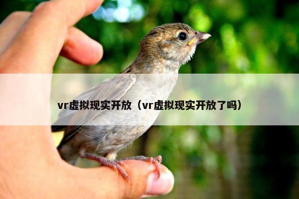 vr虚拟现实开放（vr虚拟现实开放了吗）
