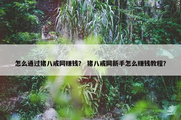 怎么通过猪八戒网赚钱？ 猪八戒网新手怎么赚钱教程？