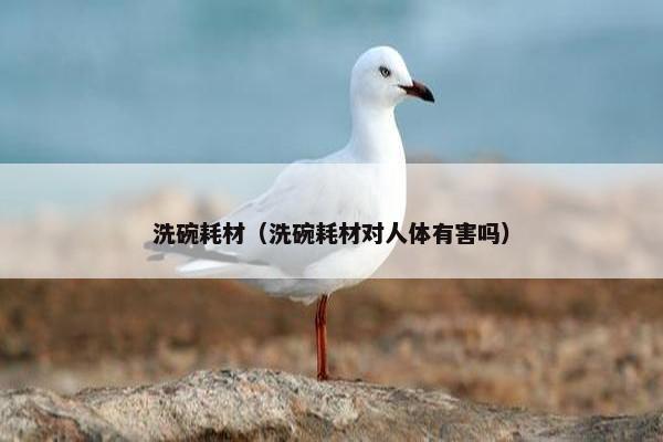 洗碗耗材（洗碗耗材对人体有害吗）