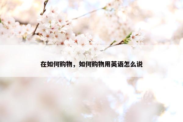 在如何购物，如何购物用英语怎么说