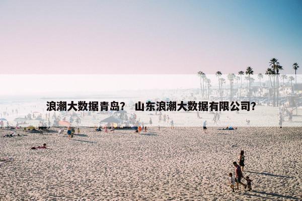 浪潮大数据青岛？ 山东浪潮大数据有限公司？