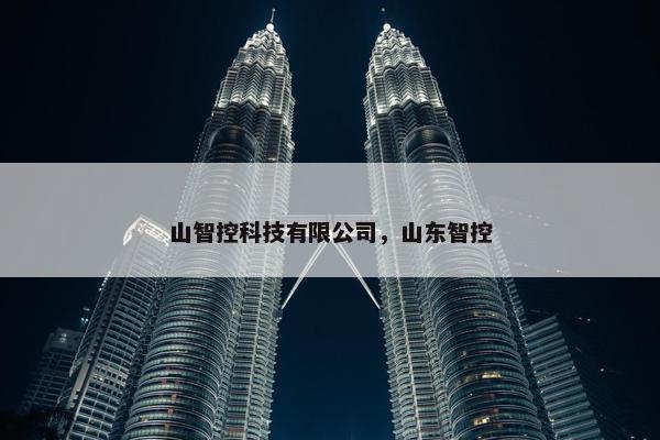 山智控科技有限公司，山东智控