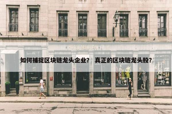 如何捕捉区块链龙头企业？ 真正的区块链龙头股？