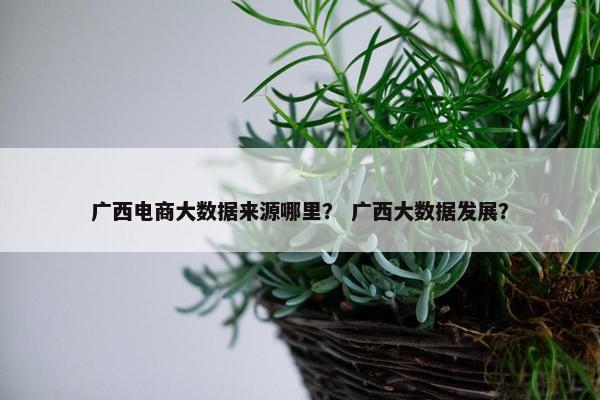 广西电商大数据来源哪里？ 广西大数据发展？