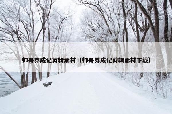 帅哥养成记剪辑素材（帅哥养成记剪辑素材下载）