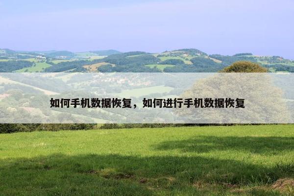 如何手机数据恢复，如何进行手机数据恢复