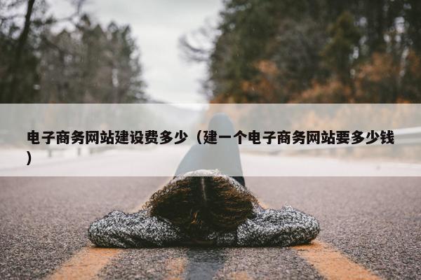 电子商务网站建设费多少（建一个电子商务网站要多少钱）