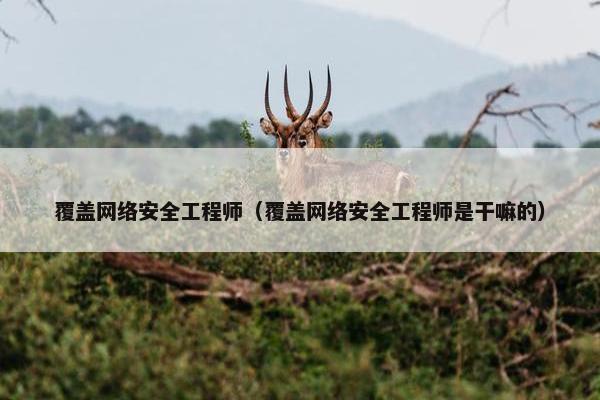 覆盖网络安全工程师（覆盖网络安全工程师是干嘛的）