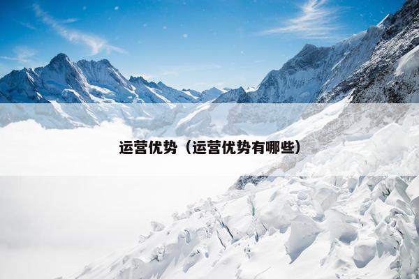 运营优势（运营优势有哪些）