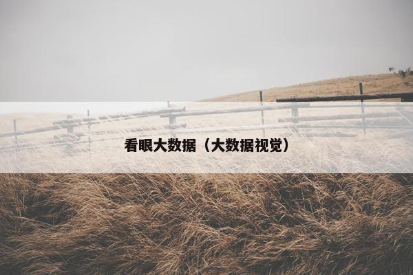 看眼大数据（大数据视觉）