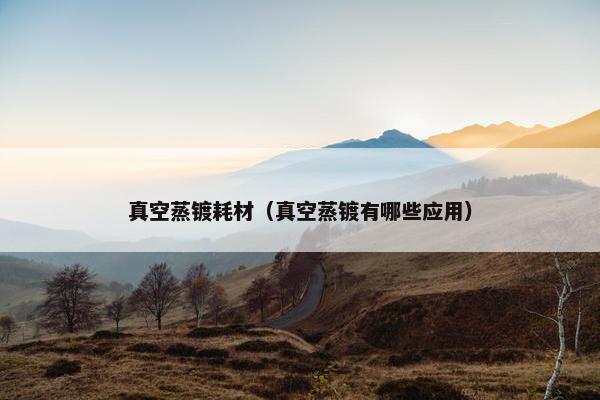 真空蒸镀耗材（真空蒸镀有哪些应用）
