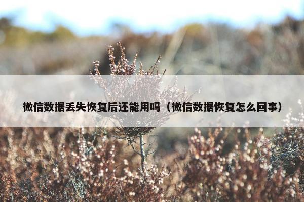 微信数据丢失恢复后还能用吗（微信数据恢复怎么回事）
