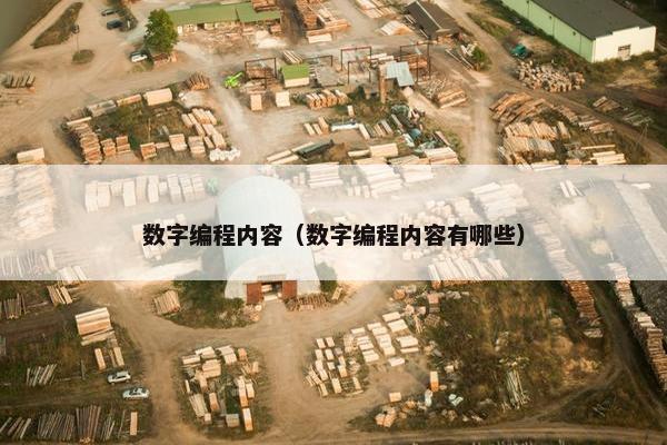数字编程内容（数字编程内容有哪些）