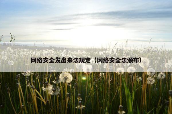 网络安全发出来法规定（网络安全法颁布）