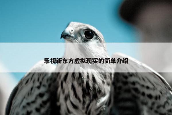 乐视新东方虚拟现实的简单介绍