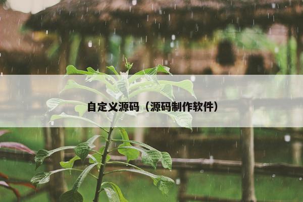 自定义源码（源码制作软件）