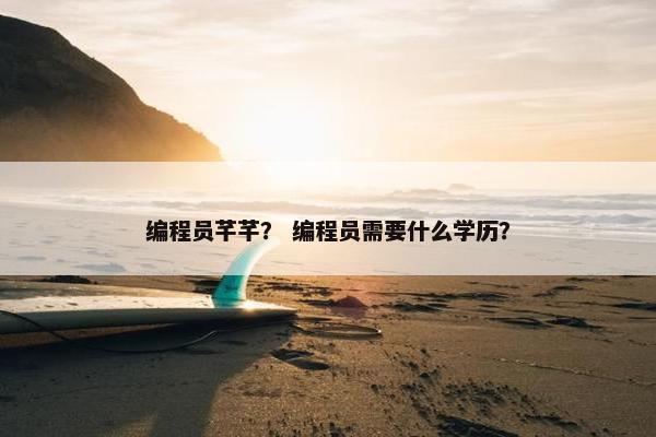 编程员芊芊？ 编程员需要什么学历？