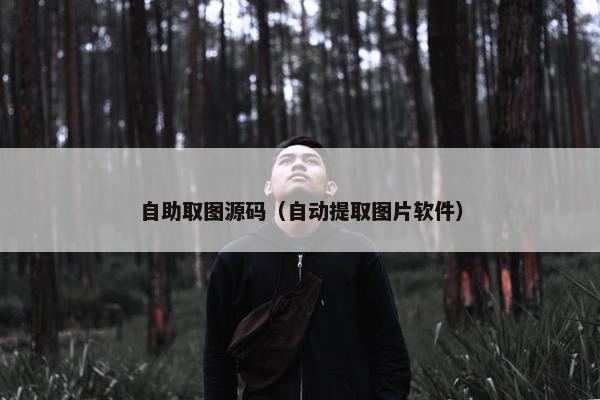 自助取图源码（自动提取图片软件）