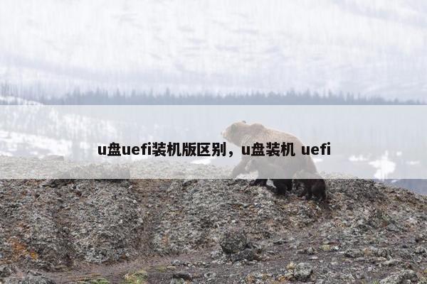 u盘uefi装机版区别，u盘装机 uefi