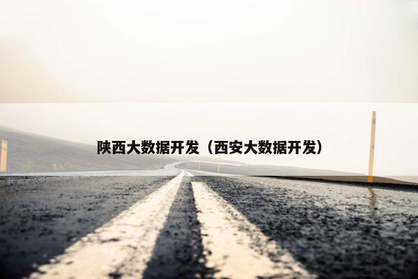 陕西大数据开发（西安大数据开发）