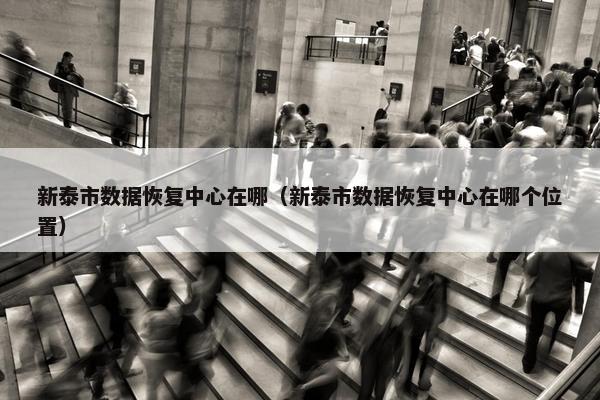 新泰市数据恢复中心在哪（新泰市数据恢复中心在哪个位置）