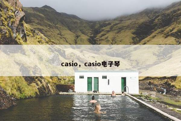 casio，casio电子琴