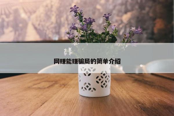 网赚能赚骗局的简单介绍