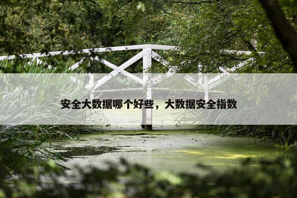 安全大数据哪个好些，大数据安全指数