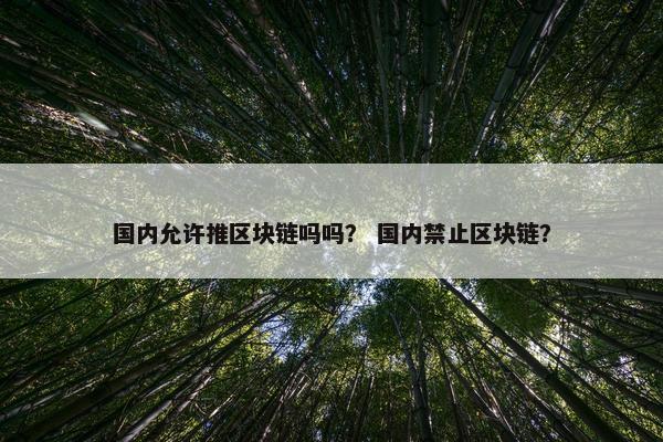 国内允许推区块链吗吗？ 国内禁止区块链？