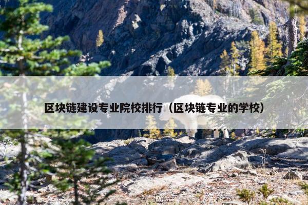 区块链建设专业院校排行（区块链专业的学校）