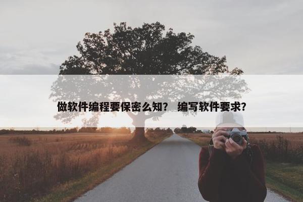 做软件编程要保密么知？ 编写软件要求？