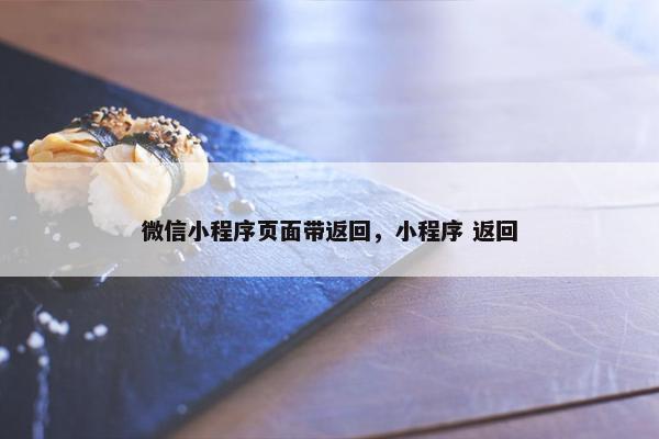 微信小程序页面带返回，小程序 返回