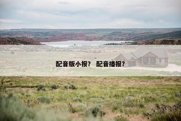 配音版小报？ 配音播报？