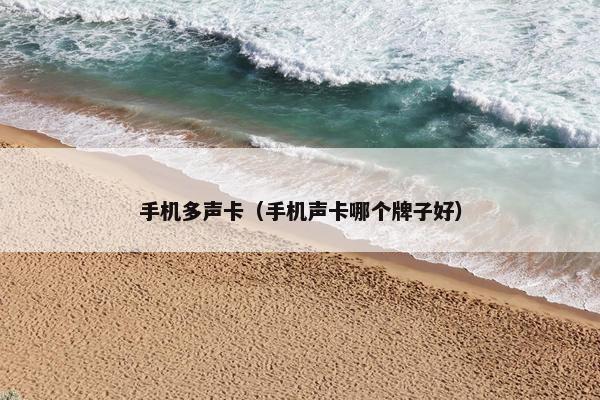 手机多声卡（手机声卡哪个牌子好）