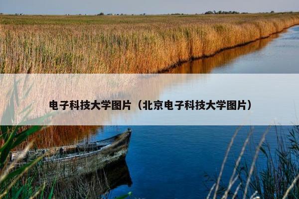 电子科技大学图片（北京电子科技大学图片）