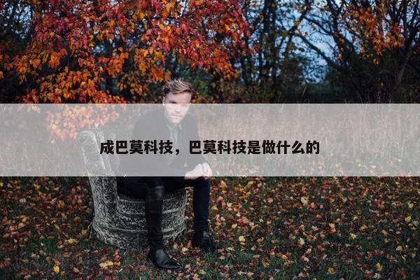 成巴莫科技，巴莫科技是做什么的