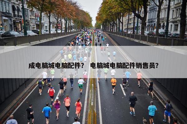 成电脑城电脑配件？ 电脑城电脑配件销售员？